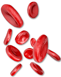 red blood cells billiruben