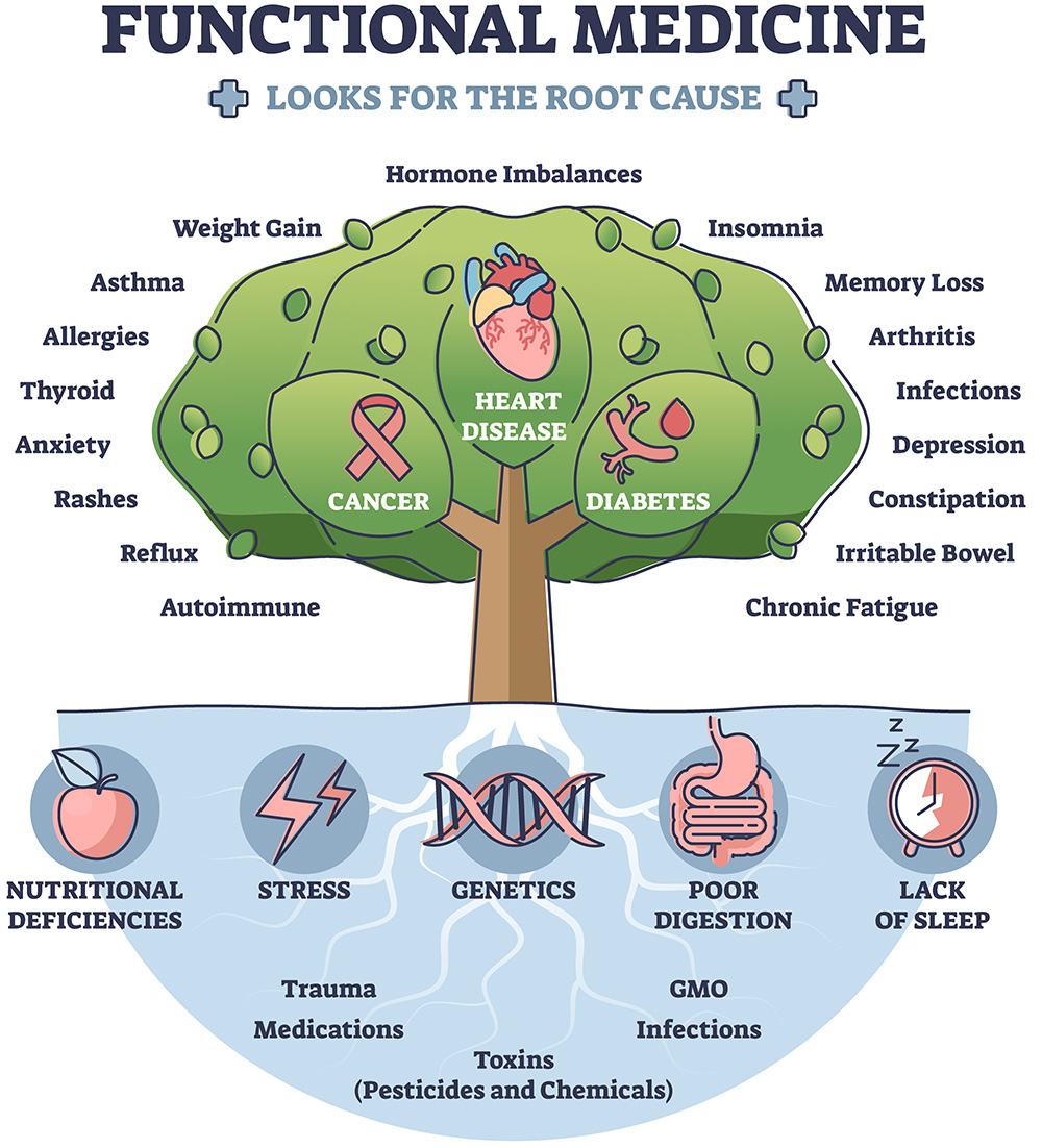 Functional Medicine | Dr Kate Schilling | Vitalia Healthcare